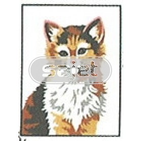 borduurpakket poes