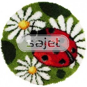 knoopkleed margrieten/lieveheersbeestje