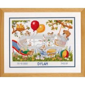 borduurpakket geboorte dylan