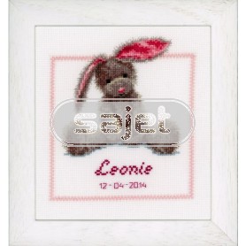 borduurpakket geboorte leonie