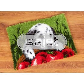 knoopkleed dalmatiër bij mand met appels
