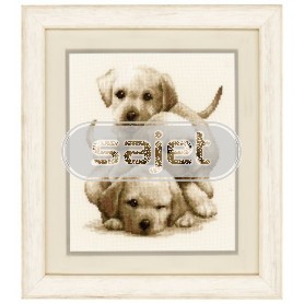 borduurpakket drie labradorpups