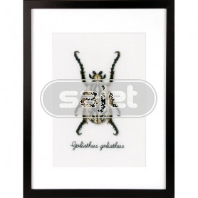 borduurpakket insecten, beige kever