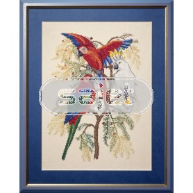 borduurpakket vogels, papegaaien