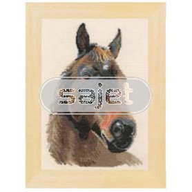 borduurpakket paard