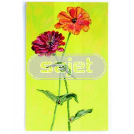 borduurpakket zinnia's-1