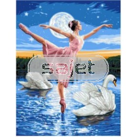 stramien ballerina op zwanenmeer