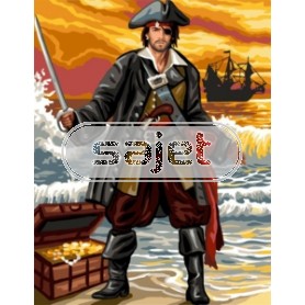 stramien piraat in actie