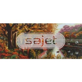 stramien + garenpakket, hert aan meer