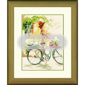 borduurpakket willem haenraets, op de fiets