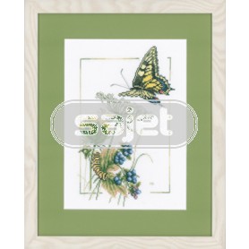 borduurpakket rups/vlinder op fluitekruid/blauwe bessen