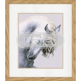 borduurpakket "onstuimig paard"