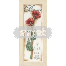 borduurpakket rode papavers