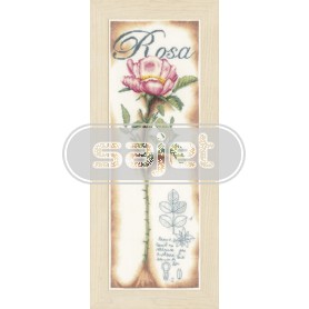 borduurpakket rose roos