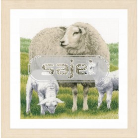 borduurpakket schaap met lammetjes