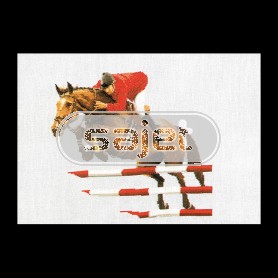 borduurpakket paardensport