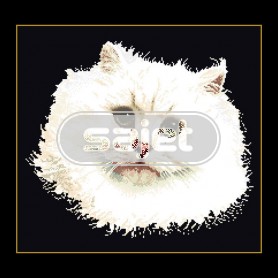 borduurpakket witte poes op zwart