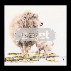 borduurpakket schaap met lam