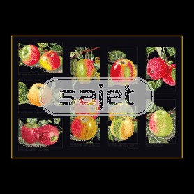 borduurpakket appels op zwart