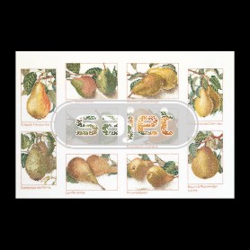 borduurpakket peren