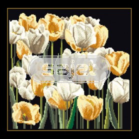 borduurpakket tulpenveld op zwart