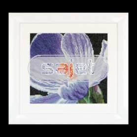 borduurpakket crocus close-up