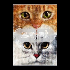 borduurpakket cats, tiger&kitty