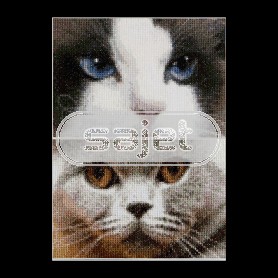borduurpakket cats, smokey&blu