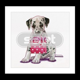 borduurpakket dalmatiërpup met tas