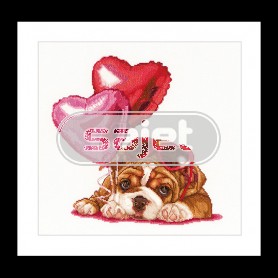 borduurpakket valentijns, puppy