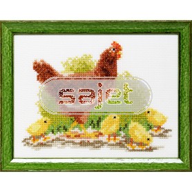 borduurpakket kip met kuikens