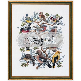 borduurpakket collage vogels