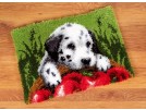 knoopkleed dalmatiër bij mand met appels