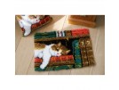 knoopkleed poes in de boekenkast
