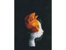 borduurpakket kitten