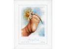 borduurpakket voetje met margriet, geboorte amelia