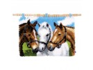 knoopkleed drie paarden