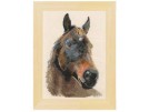 borduurpakket paard