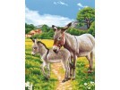 stramien ezel met veulen