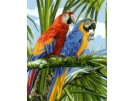 stramien + garenpakket, papegaaien in regenwoud
