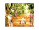 stramien + garenpakket, jeu de boules