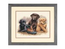 borduurpakket labradorpups met schoen