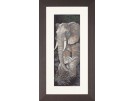 borduurpakket olifant met jong