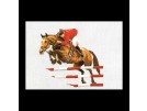 borduurpakket paardensport