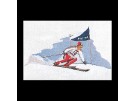 borduurpakket skiën