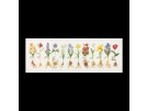 borduurpakket voorjaarsbloemen
