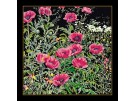 borduurpakket papavers rose op zwart
