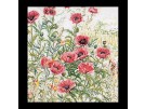borduurpakket papavers rose