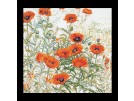 borduurpakket papavers oranje