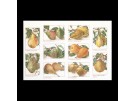 borduurpakket peren